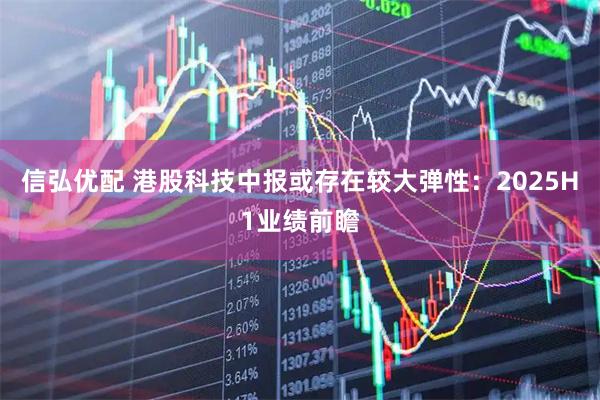 信弘优配 港股科技中报或存在较大弹性:2025H1业绩前瞻